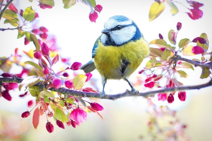 Der Frühling kommt